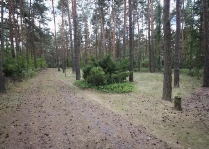 Siedlisko Jura Florek